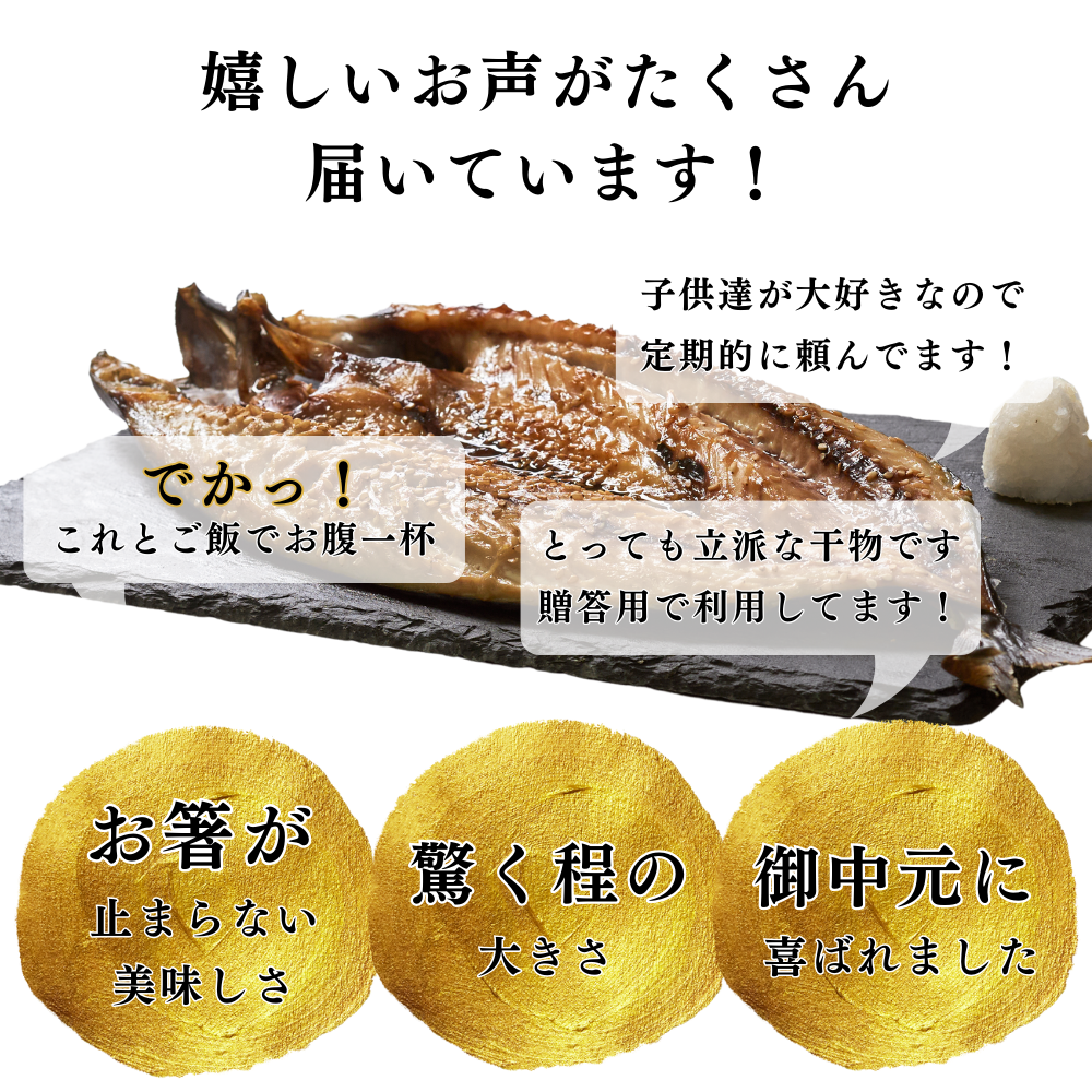 金賞受賞!さば塩糀開干し(干物)2枚セット